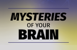 Mysteries of Your Brain