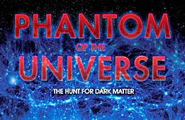 Phantom of the Universe